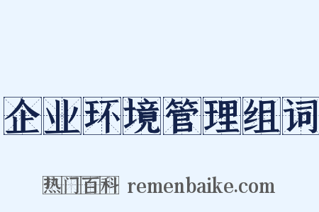 企业环境管理组词是什么意思的图片